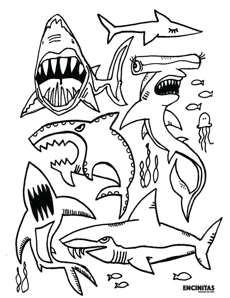 Shark Coloring Page – Encinitas House of Art shark-coloring-page-encinitas-house-of-art