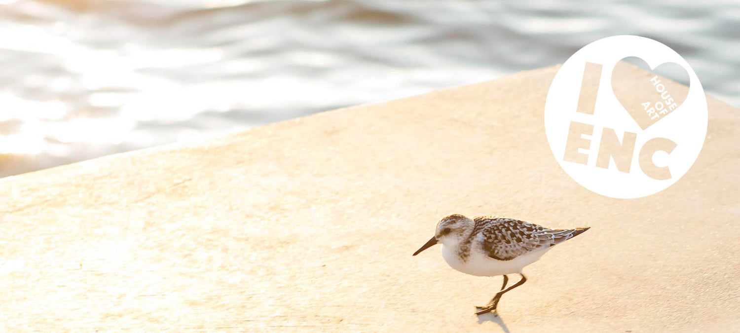 Encinitas House of Art