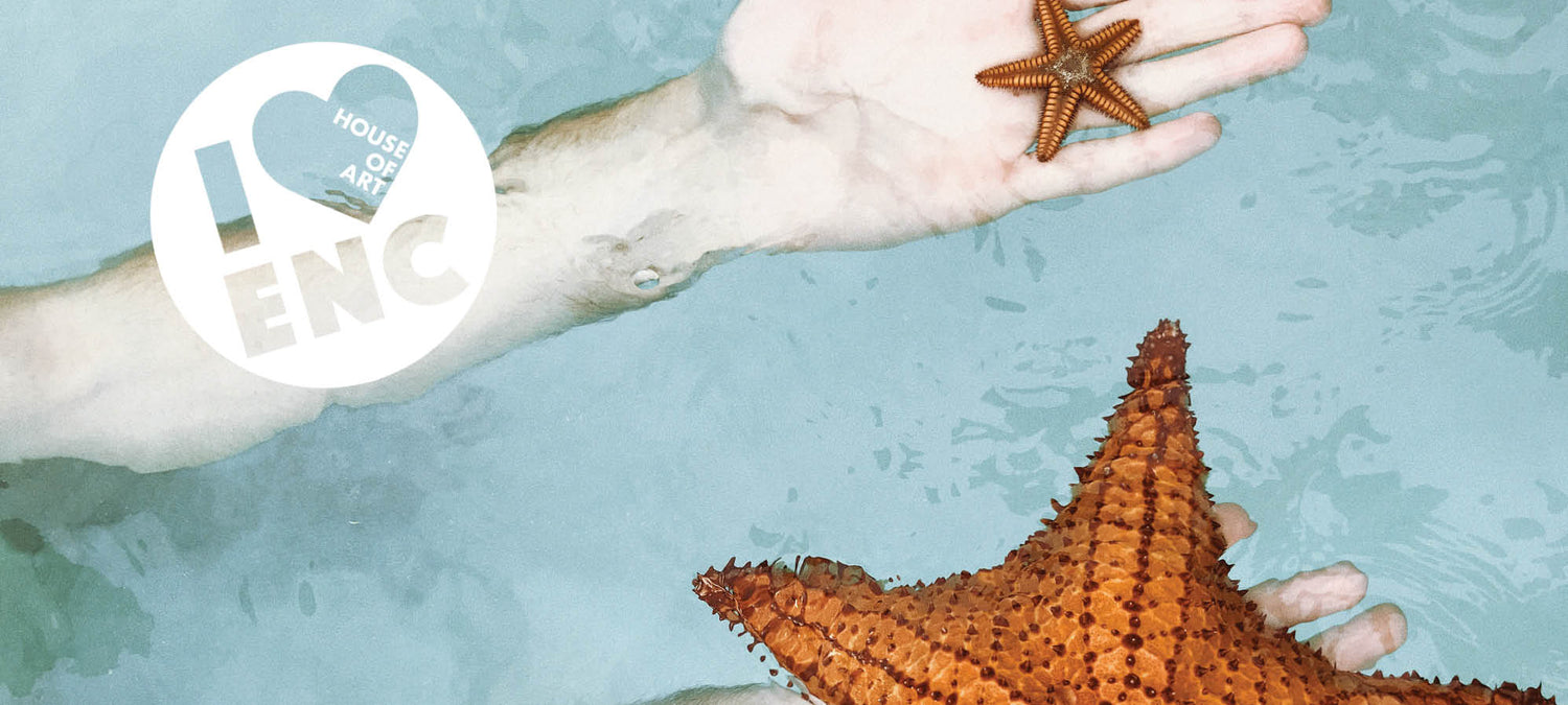 Encinitas House of Art