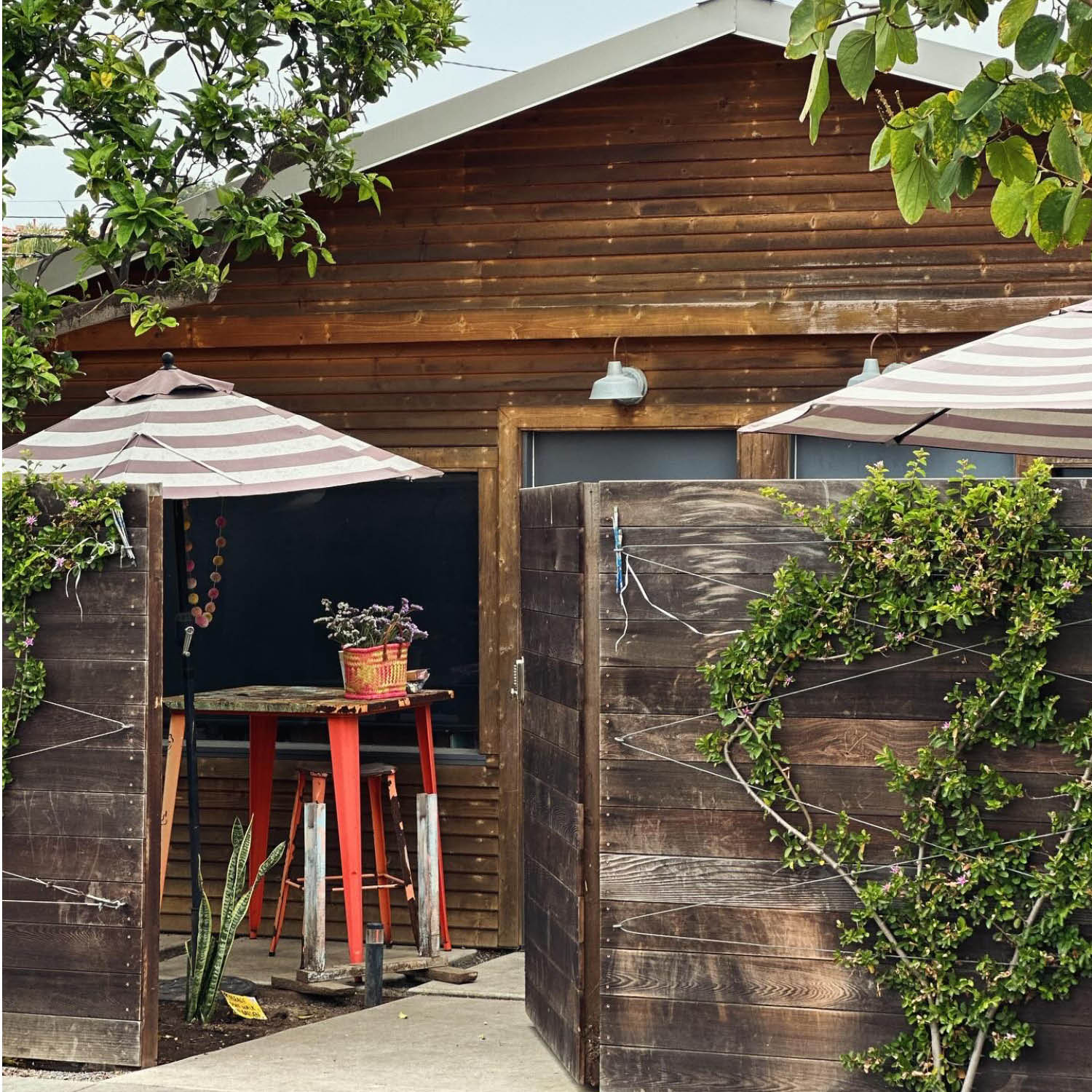 Workshop PUMPKIN SUCCULENT Open Studio - October 1 6-8pm