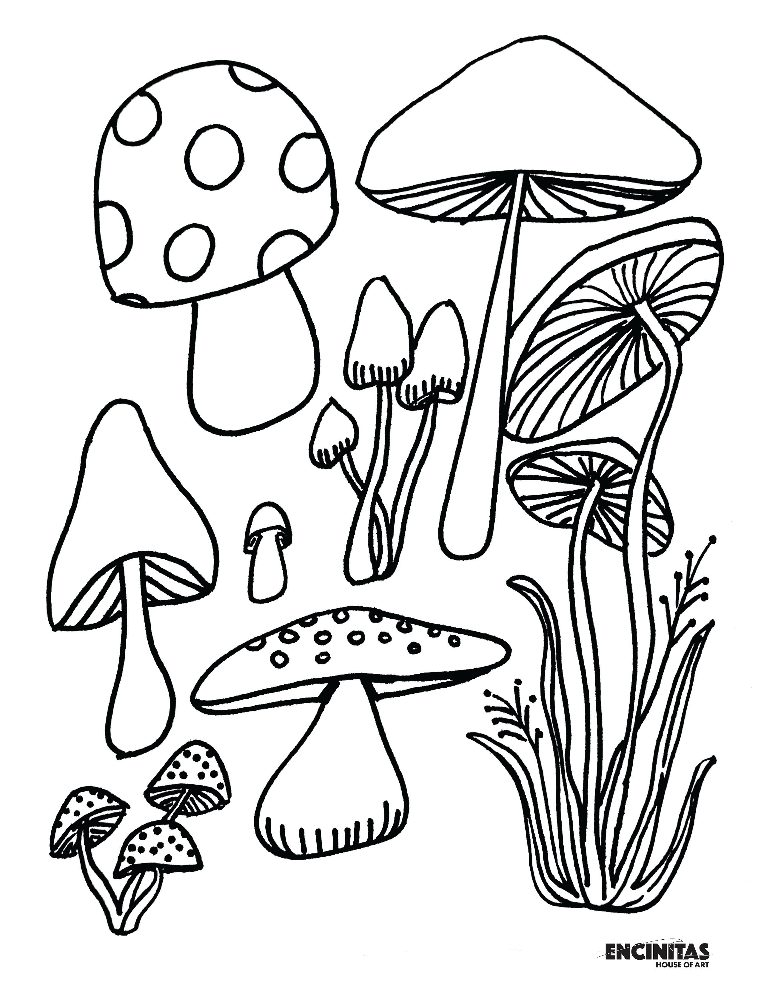 Mushroom Coloring Page