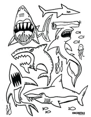 Shark Coloring Page