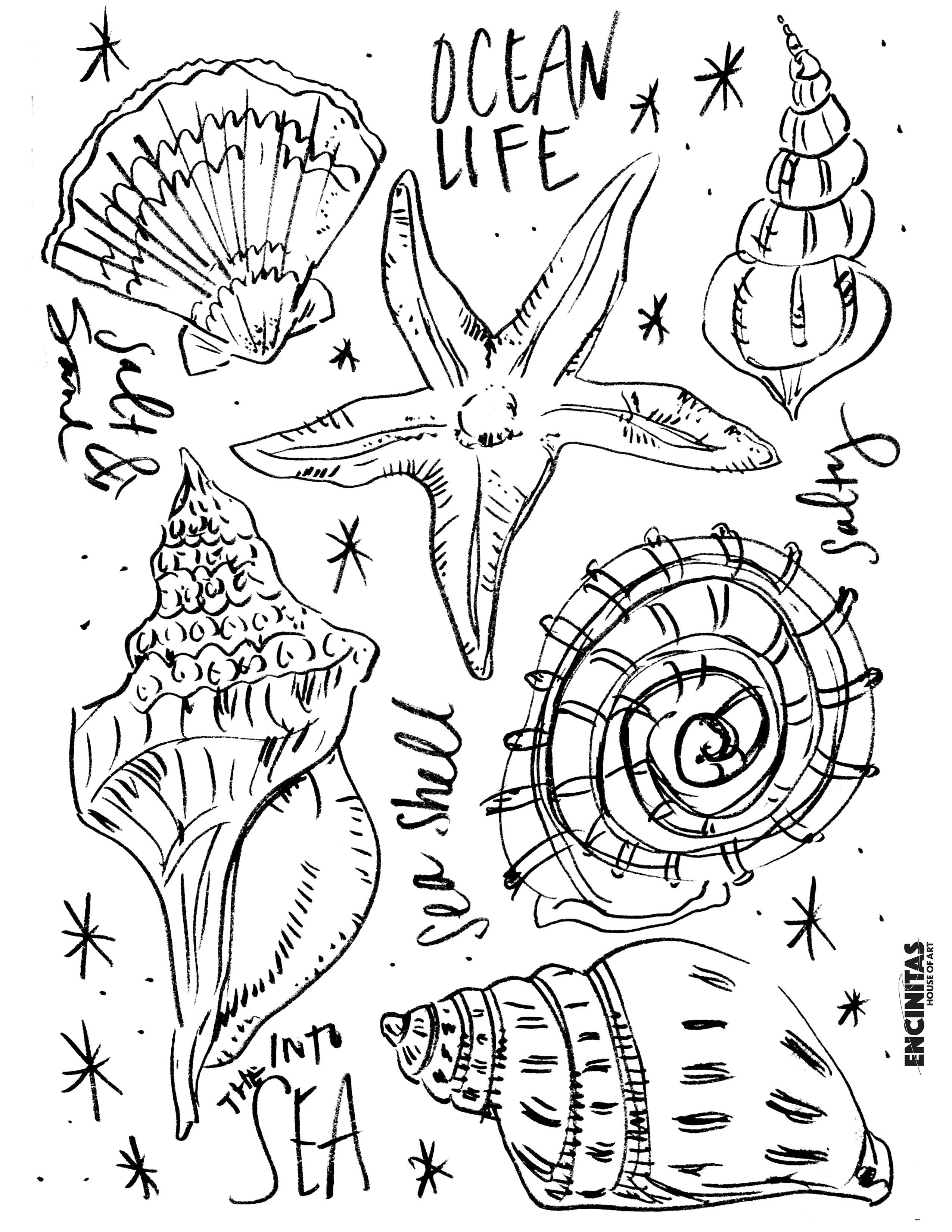 Shell To Color Shell Coloring Pages Sea Cute Childish Hand Drawn Cartoon Character Of