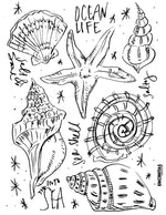 Sea Shell Coloring Page