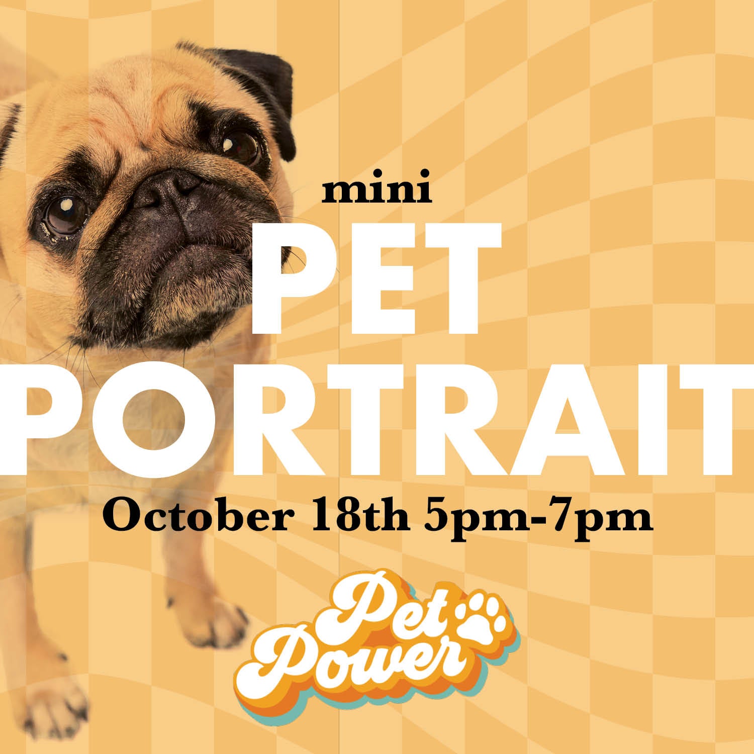 Mini Pet Portraits - October 18th at Pet Power Studio