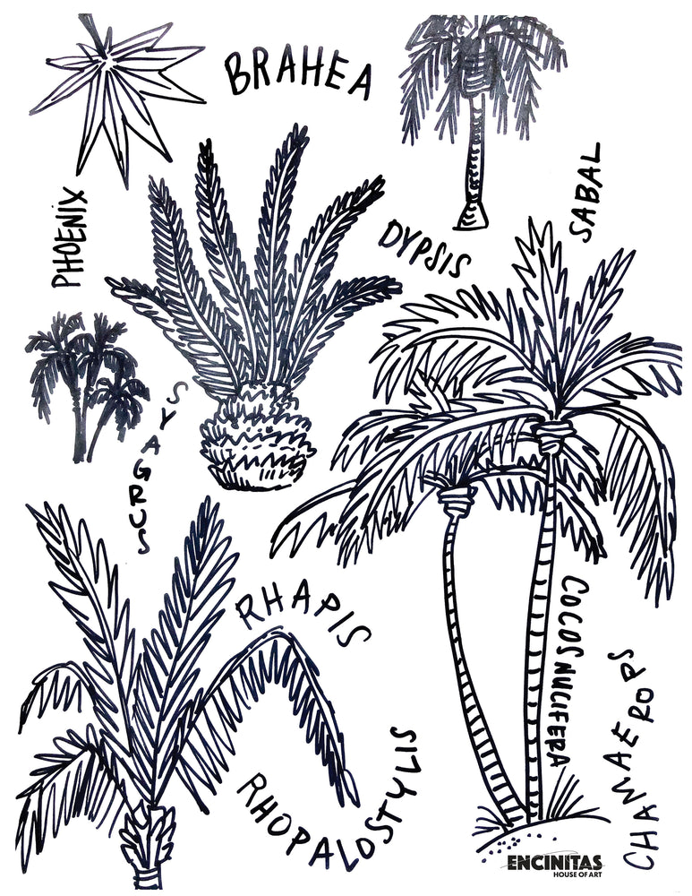 Palm Trees Coloring Page