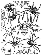 Creepy Spiders Coloring Page